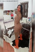 Alba Adriatica Trans Emme 333 16 48 972 foto selfie 19