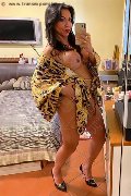 Alba Adriatica Trans Escort Emme 333 16 48 972 foto selfie 141