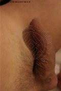 Parma Trans Laviny Albuquerque Pornostar 389 00 19 370 foto selfie 176