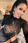 Amsterdam Trans Lissandra  0031687631254 foto selfie 10