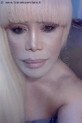 Milano Trans Escort Nicole Vip Venturiny 353 35 38 868 foto selfie 760