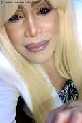 Milano Trans Escort Nicole Vip Venturiny 353 35 38 868 foto selfie 772
