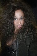 Lido Di Savio Trans Escort Pantera 333 13 92 426 foto selfie 11