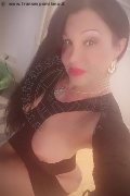 Perugia Trans Rosa Xxxl 328 74 36 345 foto selfie 45