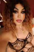 Perugia Trans Rosa Xxxl 328 74 36 345 foto selfie 15