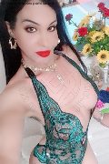 Perugia Trans Escort Rosa Xxxl 328 74 36 345 foto selfie 67