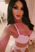 Perugia Trans Escort Rosa Xxxl 328 74 36 345 foto selfie 43