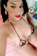 Perugia Trans Escort Rosa Xxxl 328 74 36 345 foto selfie 60