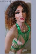 Perugia Trans Escort Rosa Xxxl 328 74 36 345 foto selfie 22