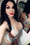 Perugia Trans Escort Rosa Xxxl 328 74 36 345 foto selfie 36