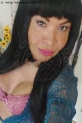 Prato Trans Taina Oliveira 328 53 82 487 foto selfie 70