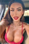 Verona Trans Escort Thayys Castro 329 72 89 046 foto selfie 20