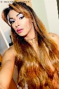 Roma Trans Tiffany Oliveira 371 61 40 791 foto selfie 74