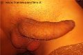 Porto Sant'elpidio Trans Escort Vittoria Mazza 334 77 63 969 foto selfie 18