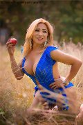 Foto Sofia Vargas Sexy Transescort Anversa 3495436989 - 87