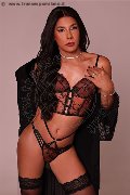 Foto Sophia Brasiliana Xxl Sexy Trav Milano 3446989173 - 5