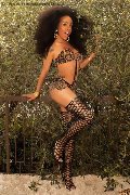 Foto Tamisca Safada Sexy Transescort Verona 3270654407 - 88
