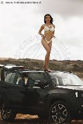 Foto Vanessa Hilton Sexy Trans Modena 3245846577 - 110