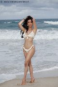 Foto Vanessa Hilton Sexy Transescort Modena 3245846577 - 108