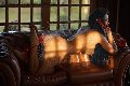 Foto Vanessa Vaz Sexy Trans Torre Del Lago Puccini 3208776985 - 92