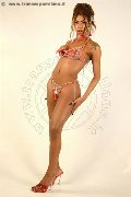 Foto Vick Campana Sexy Trans Roma 3486445725 - 3
