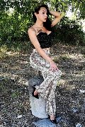 Foto Adriana Paulett Sexy Transescort 3891399263 - 311