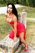 Foto Adriana Paulett Sexy Transescort 3891399263 - 339