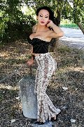 Foto Adriana Paulett Sexy Transescort 3891399263 - 309