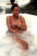 Foto Adrianna Sexy Trans San Salvo 3397965355 - 47