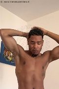 Foto Apollo Sexy Boys Milano 3508625713 - 5
