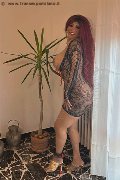 Foto Carolina Sexy Sexy Transescort Siena 3486599498 - 10