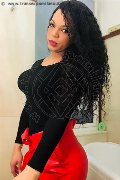 Foto Dior Sexy Transescort Genova 3472825420 - 407