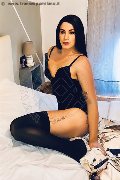 Foto Elisa Sexy Travescort Genova 3512604780 - 51