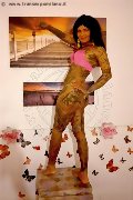 Foto Evelyn Sexy Trans Marina Di Montemarciano 3318830858 - 44