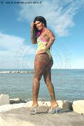 Foto Evelyn Sexy Trans Marina Di Montemarciano 3318830858 - 70