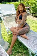 Foto Hillary Brasiliana Sexy Transescort Alba Adriatica 3384136322 - 43