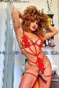 Foto Hot Stella Sexy Transescort Milano 3295563971 - 5