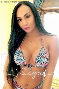 Foto Luana Fernandes Sexy Transescort Roma 3246046310 - 12