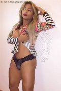 Foto Luisa Ts Sexy Transescort Oristano 3930592659 - 37
