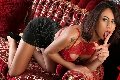 Foto Miranda Pinocchio Pornostar Sexy Transescort Genova 3294449590 - 23