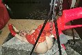 Foto Mistress Laura Sexy Mistresstrans Roma 3208356177 - 16
