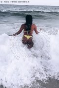 Foto Naomy Xl Sexy Trans Bologna 3290167932 - 137