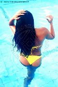 Foto Naomy Xl Sexy Transescort Bologna 3290167932 - 148
