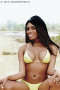 Foto Naomy Xl Sexy Transescort Bologna 3290167932 - 210
