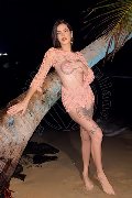 Foto Nick Miller Sexy Trans Verona 3382945956 - 56