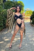 Foto Nick Miller Sexy Transescort Verona 3382945956 - 80