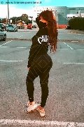 Foto Safina Sexy Trans Torino 3342585465 - 63