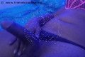 Giussano Trans Jennifer Lopez 329 28 14 384 foto selfie 13