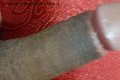 Prato Trans Tain� Oliveira 328 53 82 487 foto selfie 171