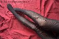 Venezia Escort Tiny Mouse 328 46 90 312 foto selfie 26